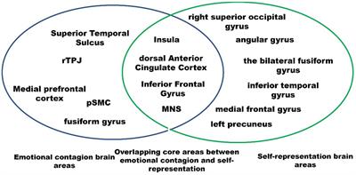 The role of self-representation in emotional contagion